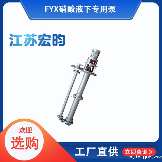 FYX硝酸液下专用泵