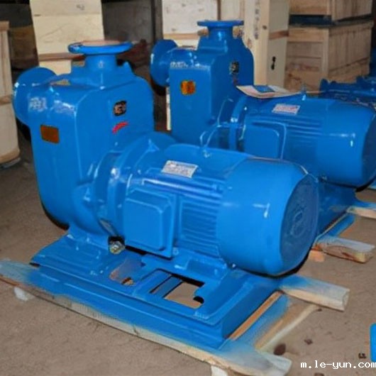 自吸无堵塞排污泵的优点及使用注意事项